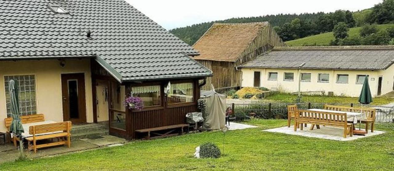 Haus Schmid Apartment Falkenfels Екстериор снимка